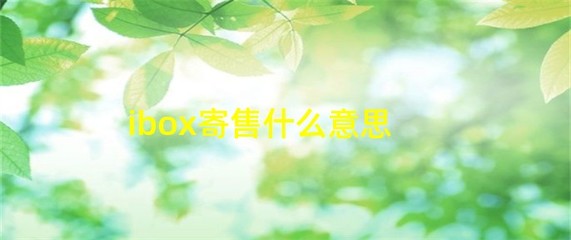 iBox 寄售服务解析 什么是受托寄卖？